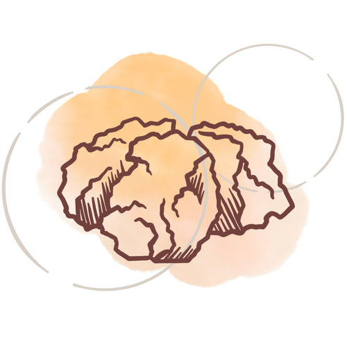 chaga mushroom icon