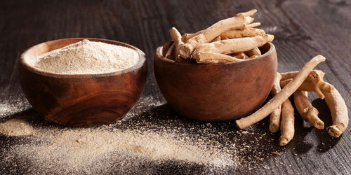 Two wooden bowls, (L) filled with ground ashwagandha and (R ) filled with fresh ashwagandha for Nootropics coffee blend Zen.
