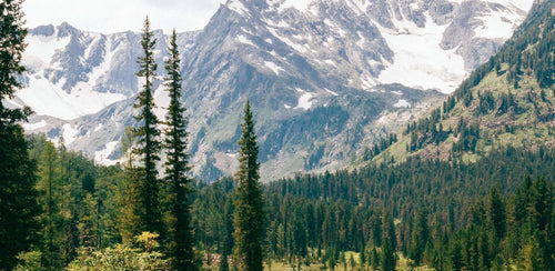 Mountain range covered in greenery.