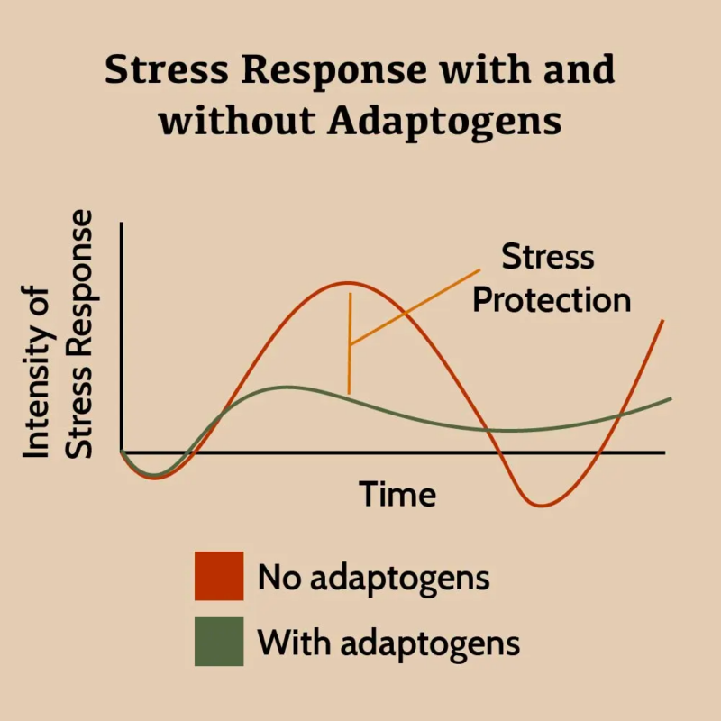 adaptogens and stress